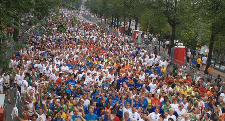 Dam Tot Damloop 2012!